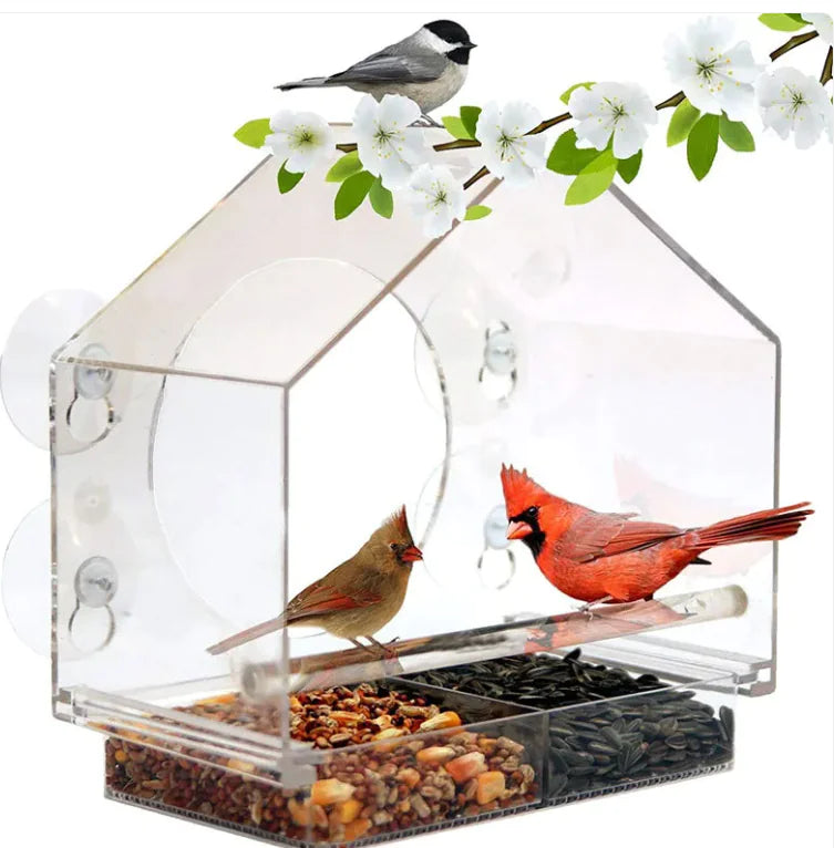 Smart Bird Feeder